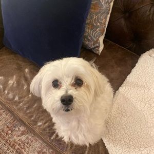 Meet your Posher, Nyc